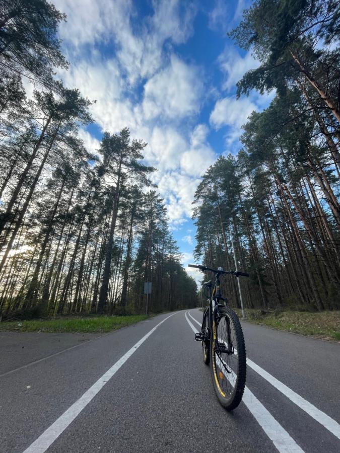 Forest Studio Druskininkai Bagian luar foto